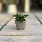 گلدان گرد پلیمری مهرنی کد 101/12.5