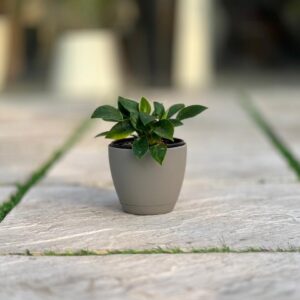 گلدان گرد پلیمری مهرنی کد 101/12.5