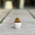 گلدان گرد پلیمری مهرنی کد 101/10