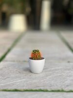 گلدان گرد پلیمری مهرنی کد 101/10