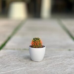 گلدان گرد پلیمری مهرنی کد 101/10