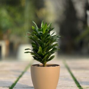 گلدان گرد پلیمری مهرنی کد 101/25