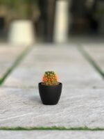 گلدان گرد پلیمری مهرنی کد 101/10 - Image 3