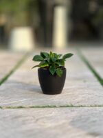 گلدان گرد پلیمری مهرنی کد 101/12.5 - Image 3