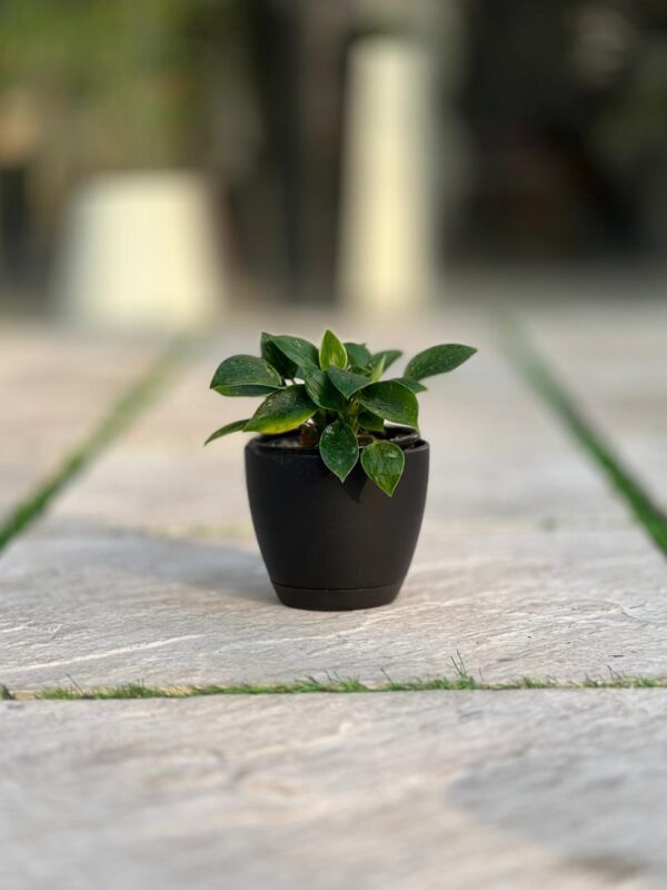 گلدان گرد پلیمری مهرنی کد 101/12.5 - Image 3