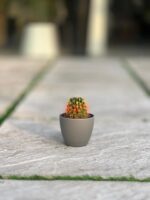 گلدان گرد پلیمری مهرنی کد 101/10 - Image 2