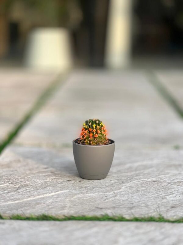 گلدان گرد پلیمری مهرنی کد 101/10 - Image 2