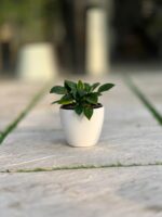 گلدان گرد پلیمری مهرنی کد 101/12.5 - Image 2