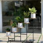 استند پنج شاخه لوزی