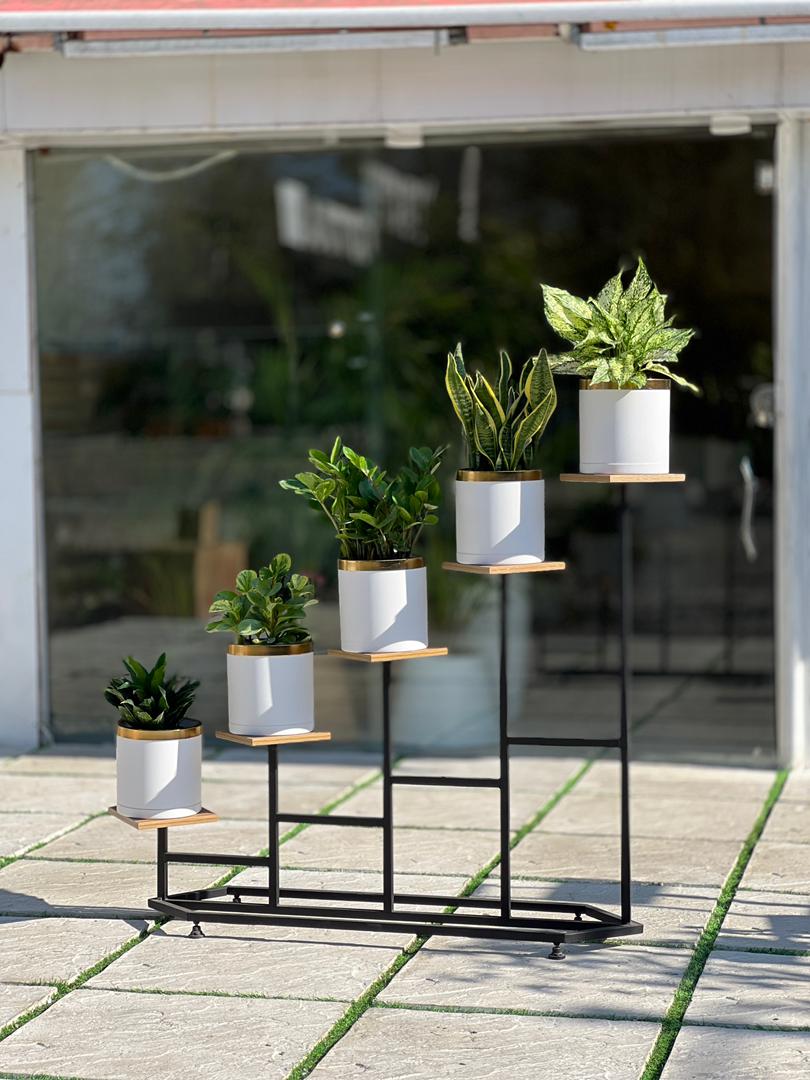 IMG-20251221-WA0027 استند پنج شاخه لوزی - Image 1