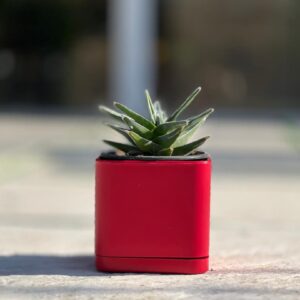 گلدان مکعبی پلیمری مهرنی کد 104/10