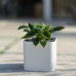 گلدان مکعبی پلیمری مهرنی کد 104/15