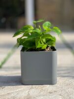 گلدان مکعبی پلیمری مهرنی کد 104/20 - Image 3